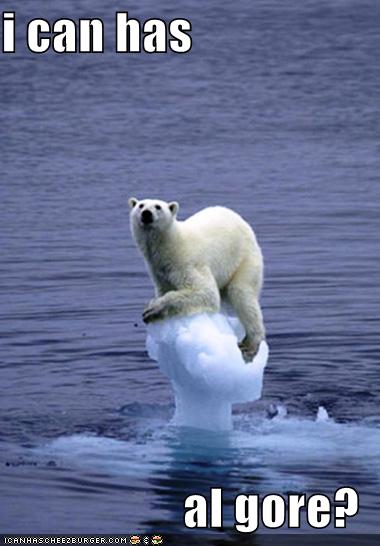 no, bear. is too late for algore.
