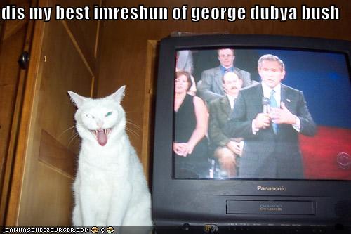 Give that lolcat a month of BCR!