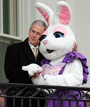 bush-bunny.jpg