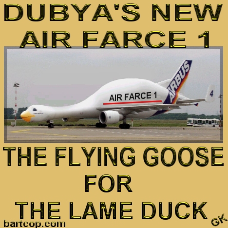 goose.jpg