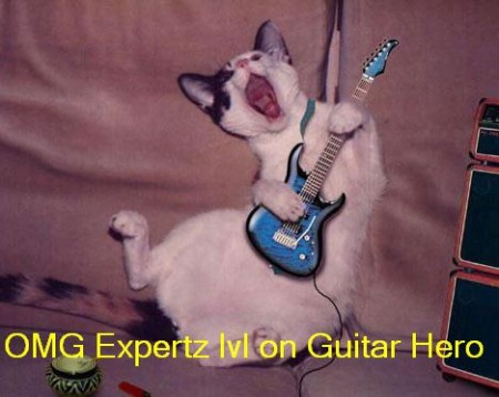 cat-guitarhero