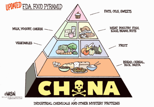 updated-fda-food-pyramid