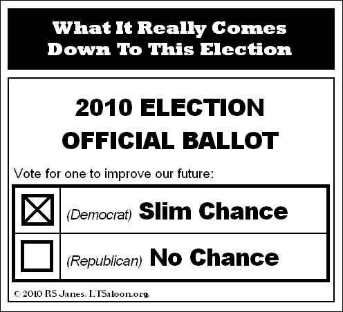 cartoon-2010-ballot