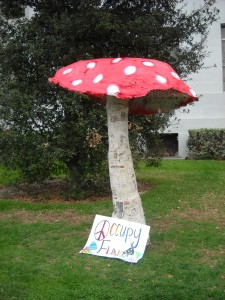 occupy-cal-mushroom