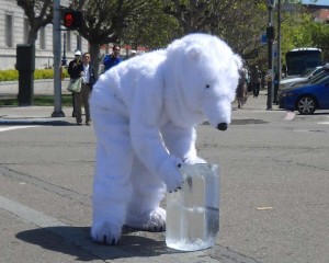 polar-bear-shot-horizontal